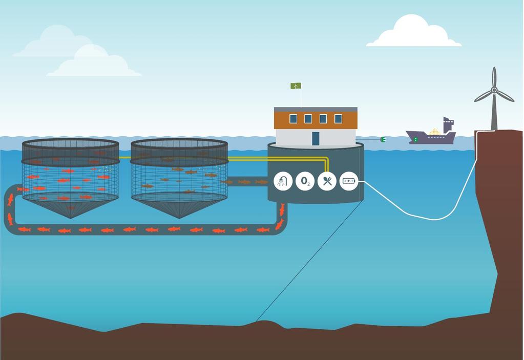 WFF -søknad Utviklingskonsesjon Drift fra egen vindkraft reduserer diesel med 90% Lokalt produsert vindkraft Forebygging av lus Energilagring på batteri Nye