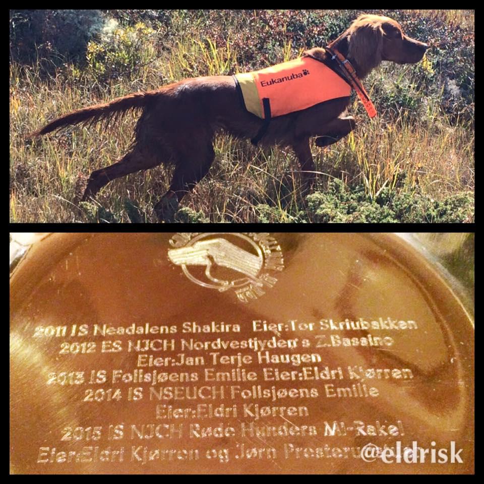 Fatet for beste AK/VK hund gikk til IS Røde Hunders Mi-Rakel eier Eldri Kjørren og Jørn Presterudstuen.