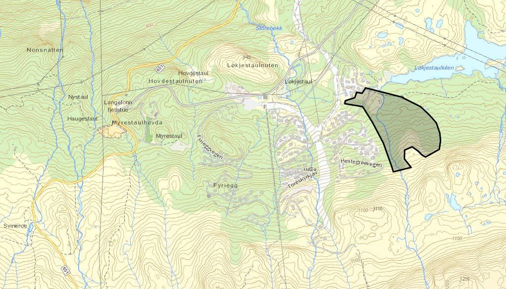 2 1 DETALJREGULERINGSPLAN FOR OMRÅDE H25 1.1 Innledning Gaustatoppen Invest AS har igangsatt et arbeid med detaljregulering for område H25 innenfor Gaustatoppen Naturpark. 1.2 Formål med planarbeidet