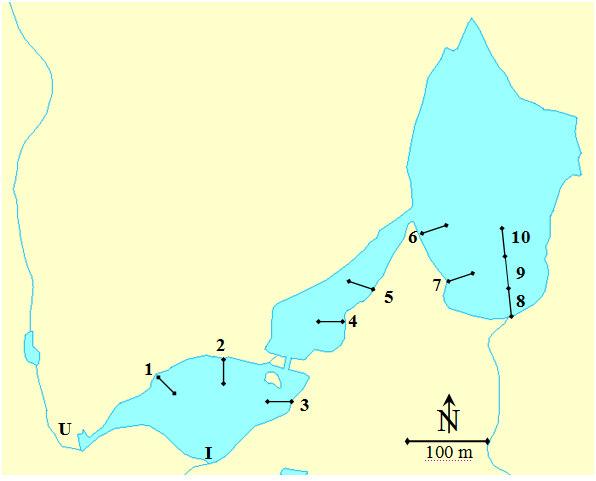 Figur 2.2. Grasbotntjørn i Ulvik, med plassering og nummerering av garnene. Bekkene som ble elektrofisket er angitt med bokstaver (I = innløp, U = utløp). Kartgrunnlaget er hentet fra NVE-Atlas.