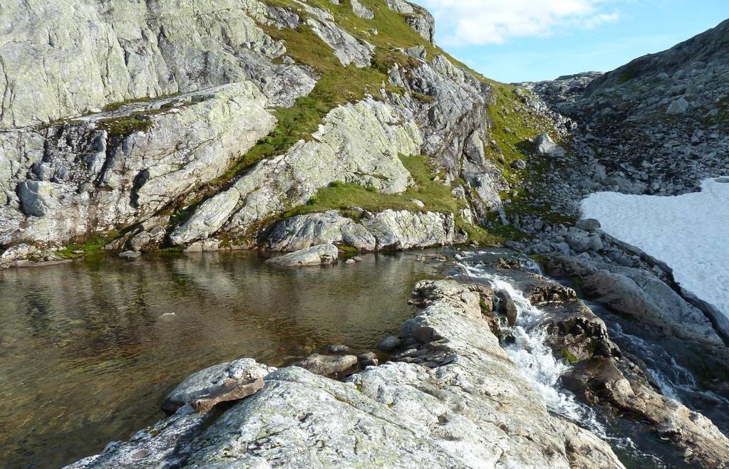 Ned mot innsjøen er det et lite basseng, mellom dette bassenget og innsjøen er det gyteforhold for aure, her er det også god vanndekning selv ved lav vannføring (figur 2.5).