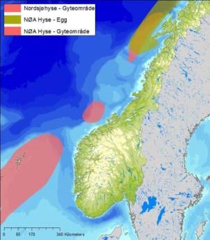 Gyteområdene for nordsøst atlantisk torsk, nordøst arktisk hyse, nordøst arktisk sei, nordsjø torsk, nordsjø hyse og nordsjø sei er vist i Figur D - 20.