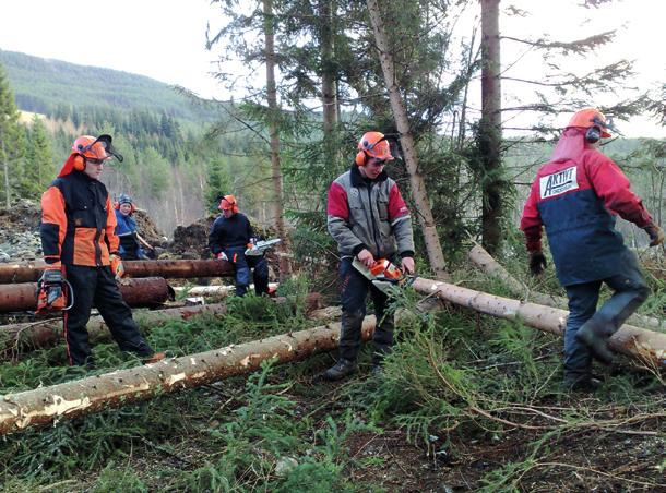 Flere av våre medlemslag dekker også etterspørsel av andre typer arbeidskraft utover landbruk. Medlem Vi organiserer og formidler alle former for avløsning tilpasset det enkelte medlems behov.