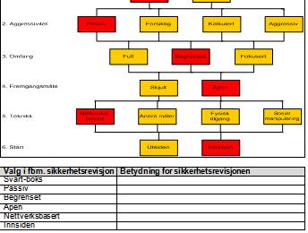 Avgrense revisjonsomfanget.