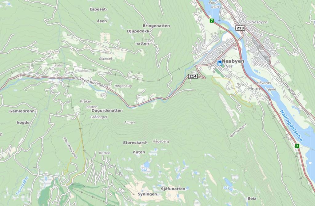 2 1 INNLEDNING Det er utarbeidet et enkelt forslag til planprogram knyttet til arbeidet med å lage en reguleringsplan for Vadbrua masseuttak i Nes kommune.