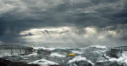 STYRKEN TELLER INNHOLD Hyppige stormer, meterhøye bølger og ekstreme strømforhold. Utsatte havområder stiller tøffe krav både til menneskene og oppdrettsystemene som gir seg i kast med dem.
