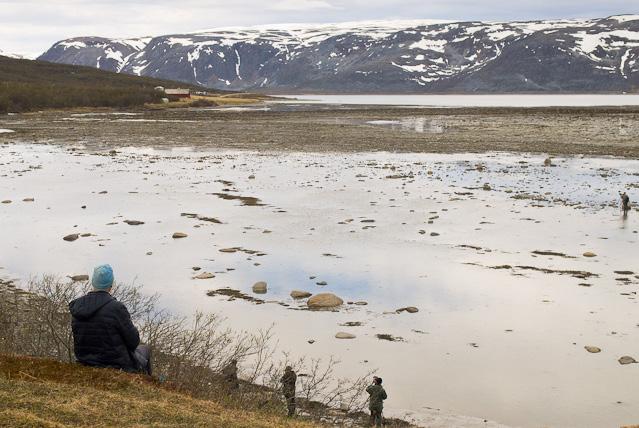 Ved Brenna fant vi en flokk på over 1000 flotte polarsniper næringssøkende i fjæra. Her rastet også et par sædgjess og overraskende nok en toårig dverggås.