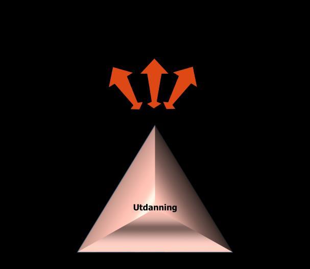 Figur 1. Kunnskapspyramiden brukt som grunnlag for faglig profil ved AØL Utdanning. AØLs studieprofil er bærekraftig bruk av jordbruks-, skogbruks- og utmarksarealer (Fig. 2).