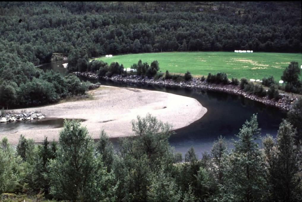 Kildalselva 2001 perioder (timer) med redusert vannføring gi tørrlegging og frysing av gyteareal, mens økt vannføring