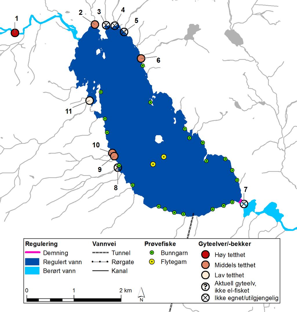 Figur 4: Kart over Øyangen med plassering av garn ved prøvefiske august 2016. Store sirkler markerer elfiskestasjoner og elver/bekker som ble undersøkt.