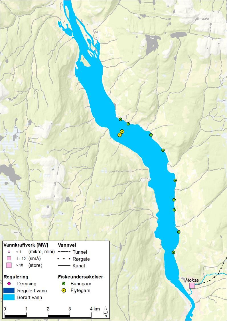 4.3 Gudbrandsdalslågen 4.3.1 Losna Losna ligger i kommunene Ringebu og Øyer, og er det største vannet som Lågen renner gjennom (Figur 34). I Losna (181 moh.