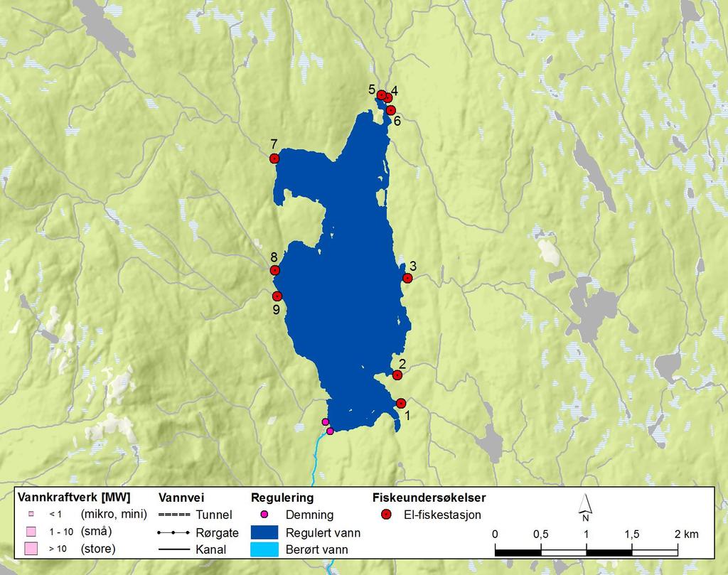 4.4.3 Samsjøen Samsjøen (213 moh., 328 hektar, innsjønummer 562) ligger i Ringerike kommune i Buskerud fylke (Figur 56). Konsesjon for regulering ble gitt i 1958.