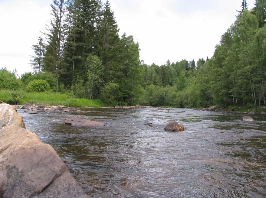 net (561 m o.h.), og passerer gjennom Strømsottbygda til Sognevatnet (213 m o.h.). Elva ut fra Sognevatnet får navnet Sogna.