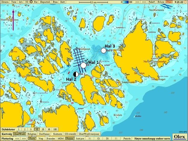 Figur 2.1: Oversiktskart over Havområdene rundt Froan, med undersøkelsesområdet Hallarøya midt i bildet, markert med rød ramme. Kartkilde: Olex. Figur 2.