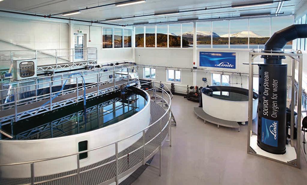Vi tilbyr fremtidens oksygeneringsteknologi til akvakultur 3 Vi tilbyr fremtidens oksygeneringsteknologi til akvakultur AGA er ledende på oksygeneringsteknologi og kunnskap til en voksende