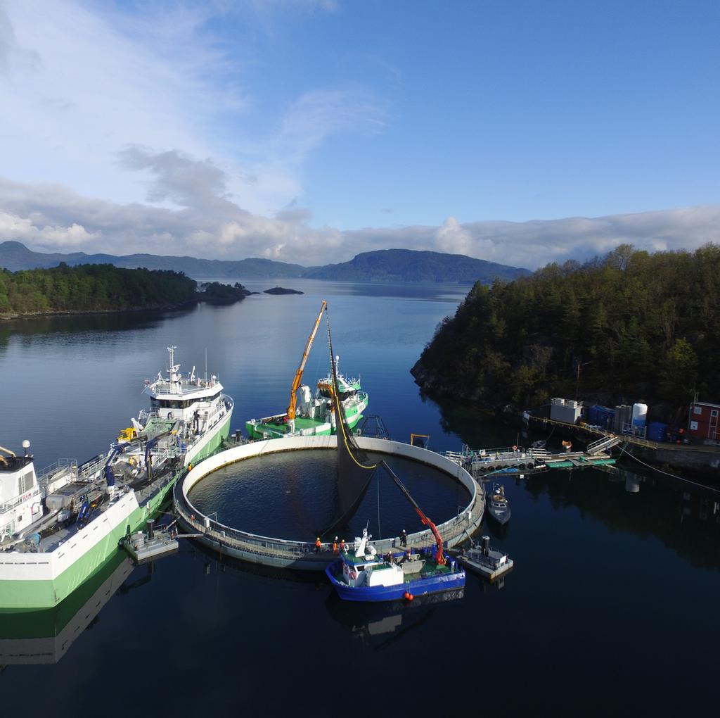 Testresultat Testresultatene som Marine Harvest oppnådde med postsmolt taler sitt tydelige språk: Fôrfaktor: 0,85 Lav dødelighet < 0,5 % Ingen avlusing Ingen rømming Ingen sykdom Vekst: 118 g 1,2 kg