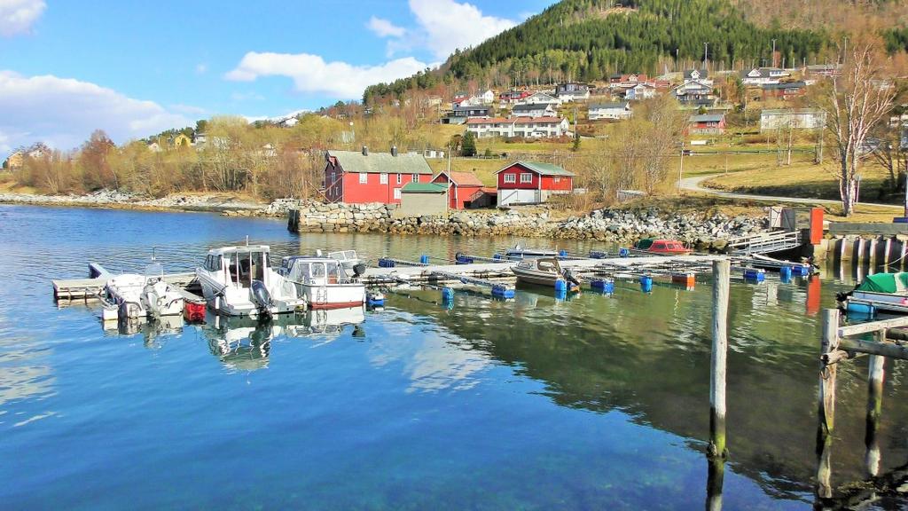 Åfarnes er et svært barnevennlig område med kort vei til mer urbane miljø i Molde og kommunesentret Åndalsnes.