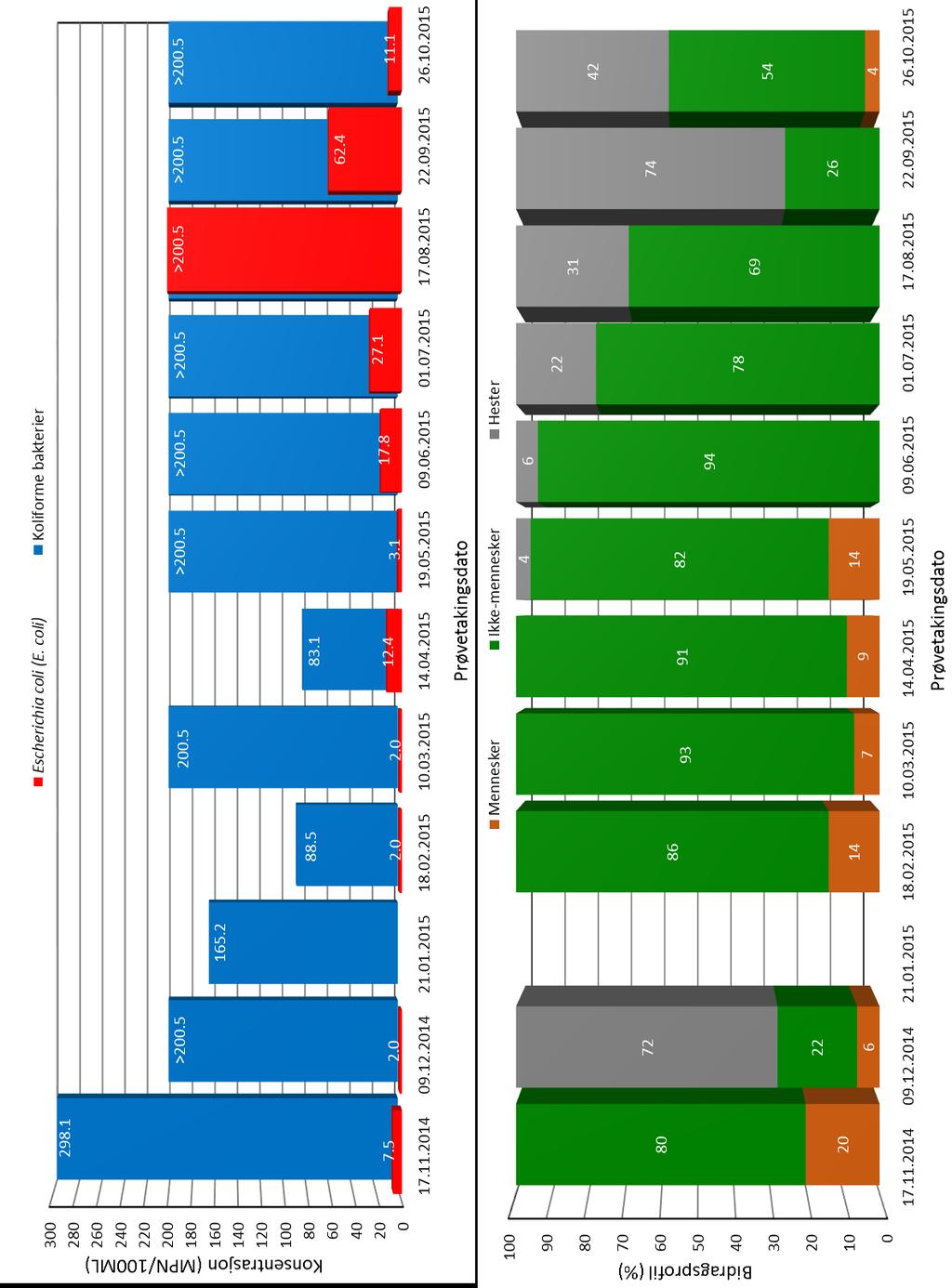 Figur 6. Konsentrasjoner av koliforme bakterier og Escherichia coli (E. coli) i ferskvannsprøvene fra bekken ved Skjerven.