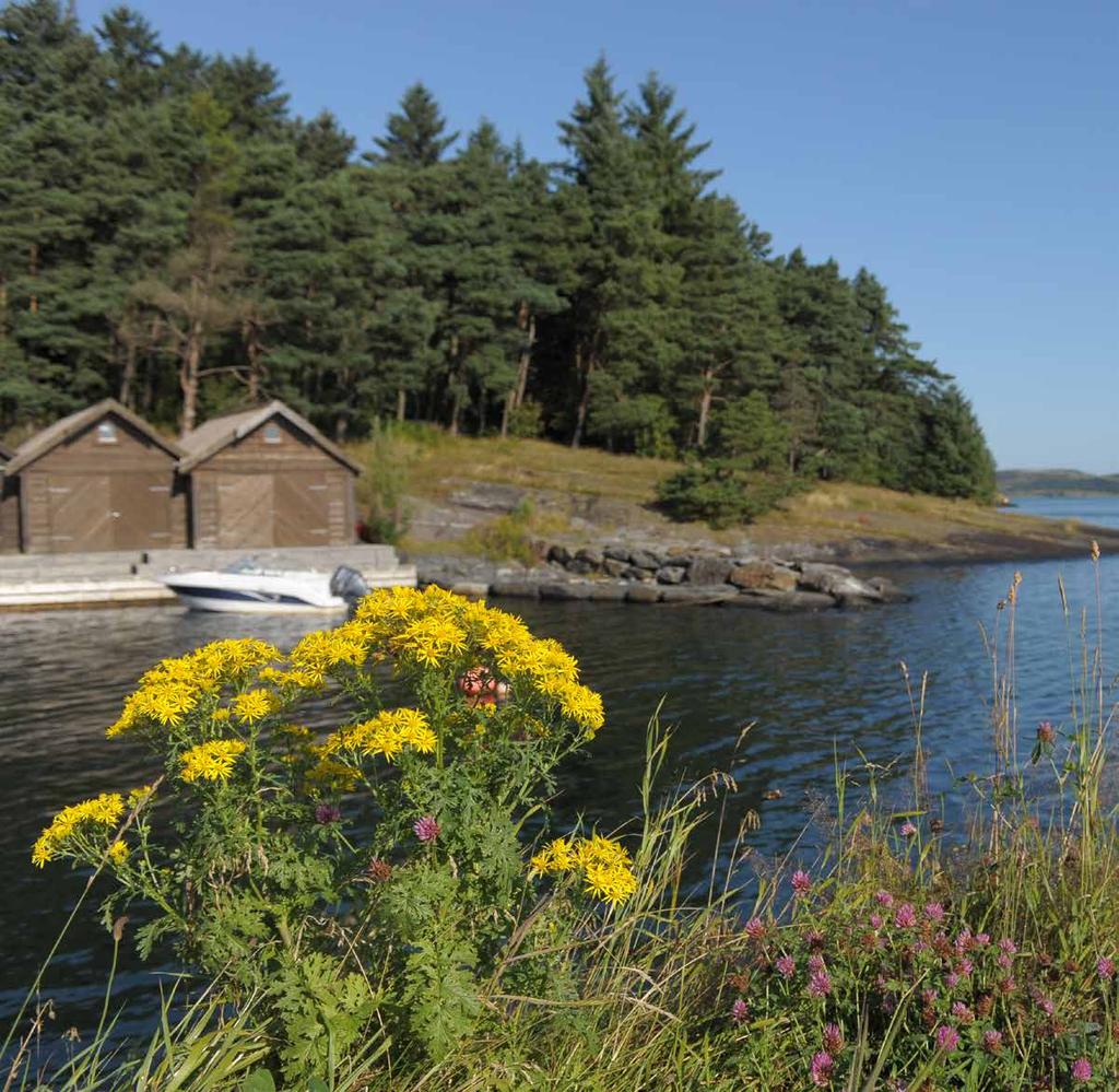 DEN GRØNNE LANDSBYEN Randaberg er Norges minste landkommune i areal. To tredeler av kommunen er landbruksjord. Her bor du med andre ord tett på naturen.