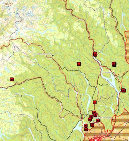 Hittil i 2015 er det tatt ut to ulver på skadefellingstillatelse i Oppland. Den ene, i Ringebu, ble tatt ut pga framtidig skadepotensiale (før den gjorde skade).