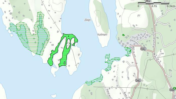 Totalareal: 25 Daa Figur 17: løtbunnsområdet rundt Skjellholmene.