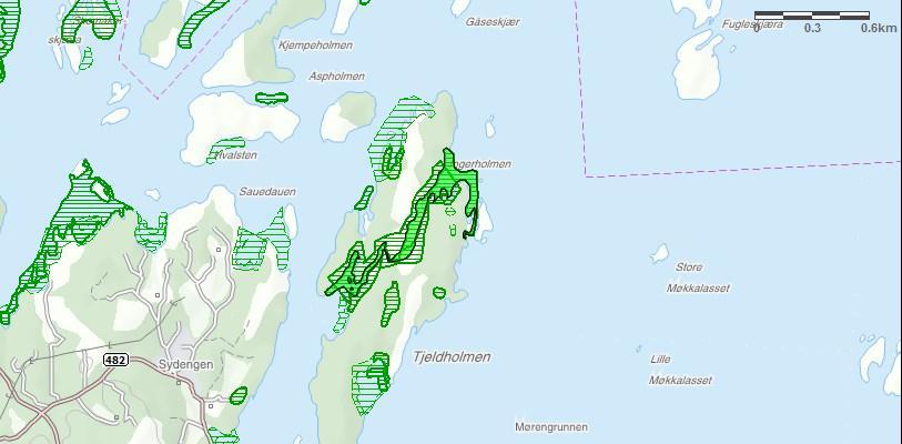 Området: Tjeldholmen Verdi: Viktig Utforming: Strandflater med bløtt mudder i beskyttede