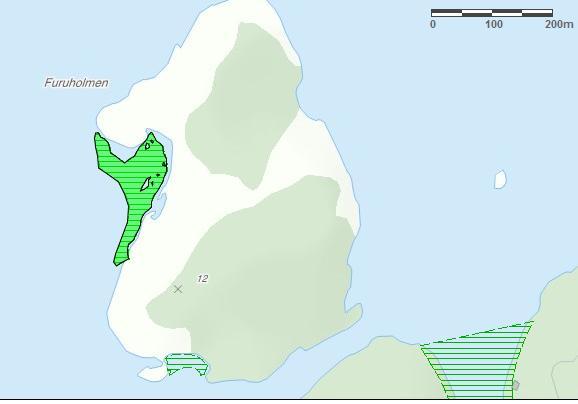 Totalareal: 10 Daa Figur 7: løtbunnsområder i en bukt sør på Furuholmen.