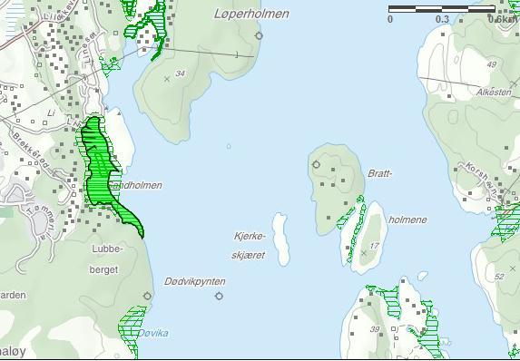 Figur 8: løtbunnsområder i bukta nordøst på Spjærøya.