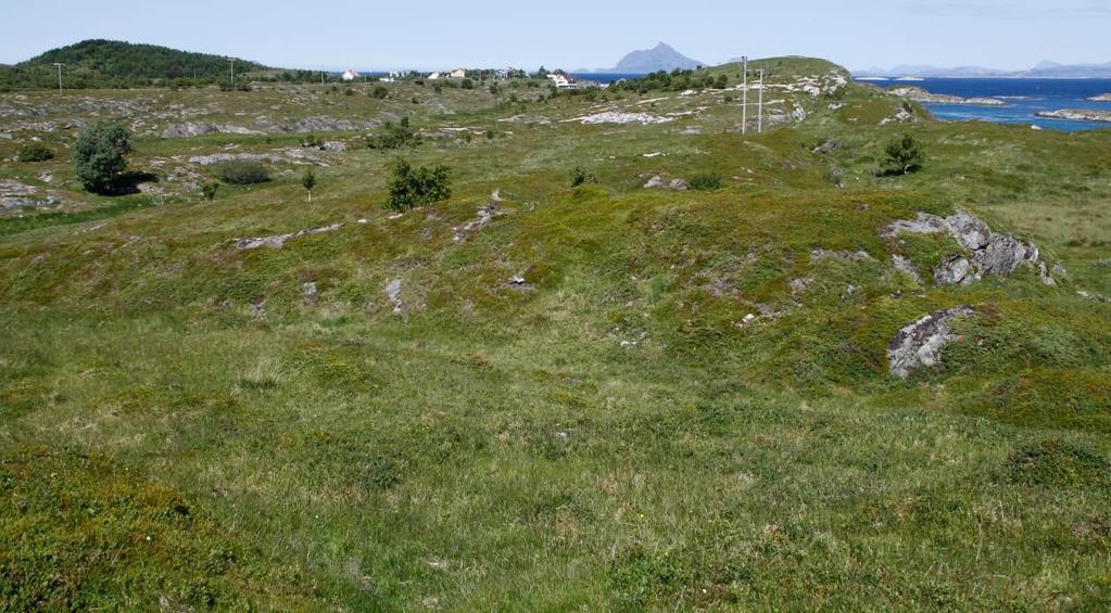 Bilde 3. Bilde tatt sørøst i lokaliteten, med utsikt nordover mot bebyggelsen.