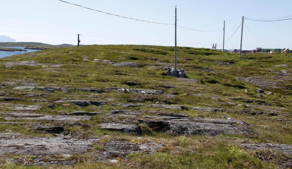 nordligeste delen av lokaliteten.