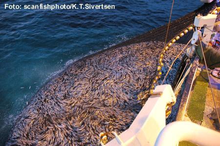 1 Fiskeriforvaltning, redskapsvalg og fordelingspolitikk 1 Jahn Petter Johnsen,