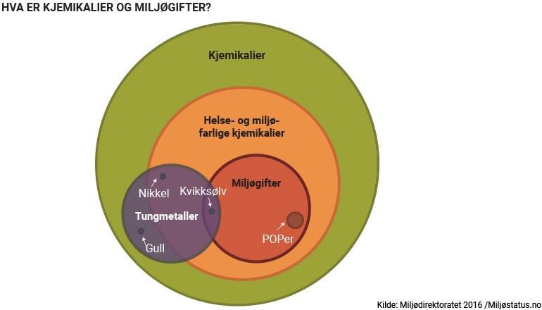 1) Miljøgifter langs kysten 1.1) Imposex i purpursnegl 2) Miljøgifter i ferskvann 2.1) Organiske miljøgifter i innsjøer 2.