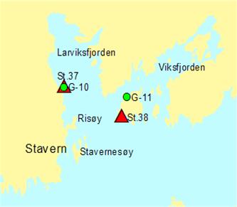 En samlet vurdering av gruntvannsamfunnet i Sandefjordsfjorden i 2001-2003 i forhold til 1983 og 1997, tyder på at det er liten endring i makroalgesamfunnet i fjæresonen.