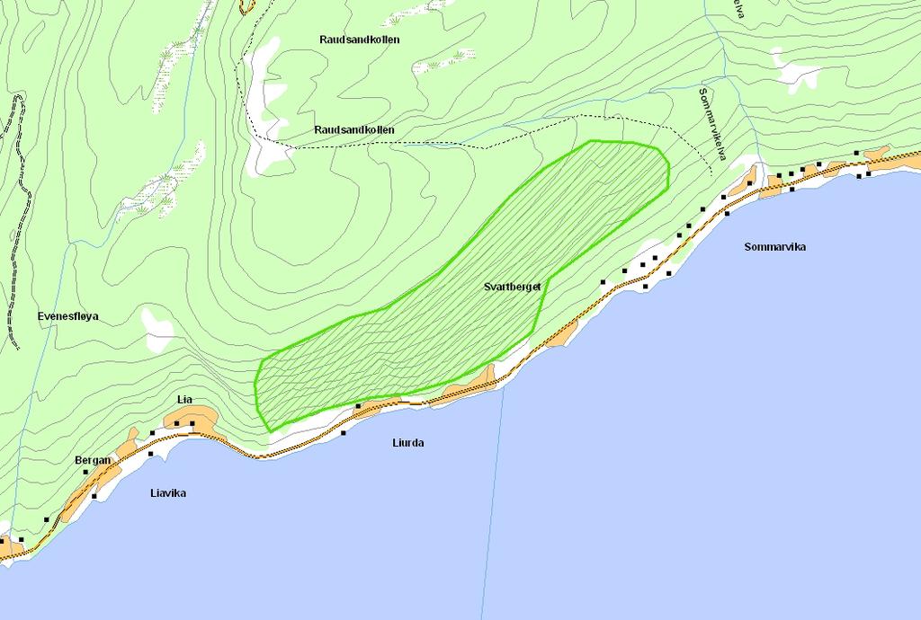 Prioritert viltområde 5 Svartberget Verdisetting B viktig viltområde Høyde over havet (m) 30-200 UTM (WGS84) 33W WR 723 956 Denne bratte skogslia består av tett skog dominert av bjørk, selje, rogn og