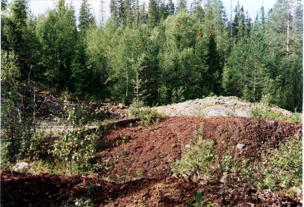 2.23 Gressli gruve Gressli gruve ligger i Tydal kommune. Området ligger på sørsiden av Nea ved Gresslimoen og har avrenning til Nea via en liten bekk. Tabell 55.