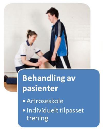 Behandling Implementering av kunnskapsbaserte retningslinjer Behandlingspyramiden for artrosepasienter