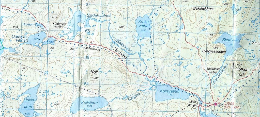 Materiale og metoder 2. Materiale og metoder 2.1 Områdebeskrivelse De ni innsjølokalitetene som ble undersøkt ligger i Ullensvang statsallmenning på den vestlige delen av Hardangervidda (Figur 1).