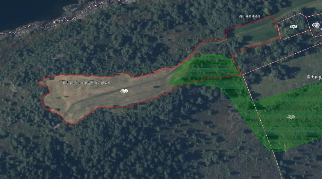 Mulige nye lokalitetar på Tautra Storbauthaun og Gjerdet Ein liten del av den gamle lokaliteten Vest for Stegane BN00020708 (grønt) går inn på arealet som her er avgrensa på kartet med raud strek.