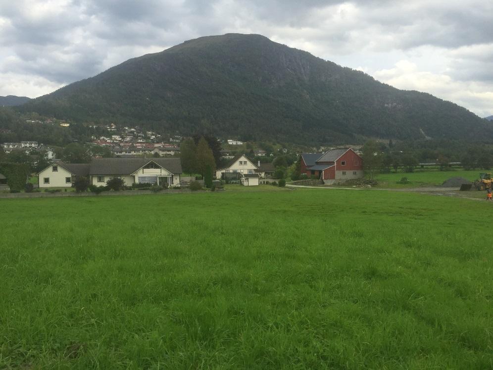 gjerdelinjene. Mot grensa til sjukehuset og delvis inn i jordbruksområdet går det ein kanal omgitt av sumpvegetasjon.