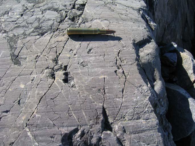 Hvilken landskapsform er det, og hvordan er den dannet? D. Bildet nedenfor viser glasialt erodert berggrunn (kalkstein, Svalbard).