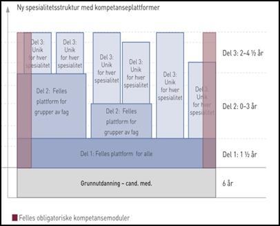 spesialistutdanningen vil være et ytterligere argument for at avtalespesialistene bør etablere seg i gruppepraksiser/kontorfellesskap.