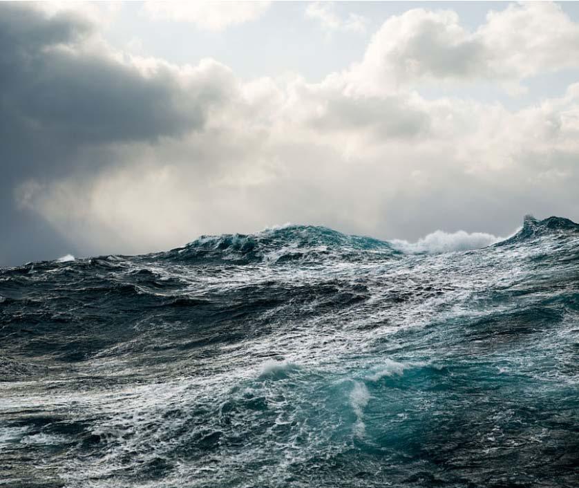 Jeg skal snakke om variasjon i Klima Fysisk havmiljø Planteplankton