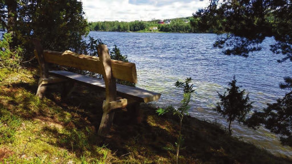 Taterstigen Turen: Taterstigen er skiltet mellom Nystua Skårer i Fet og Hammeren i Sørum. Lengde: 3,6 km. Terreng: Lett kupert, på sti i Fet og skogsbilvei i Sørum.