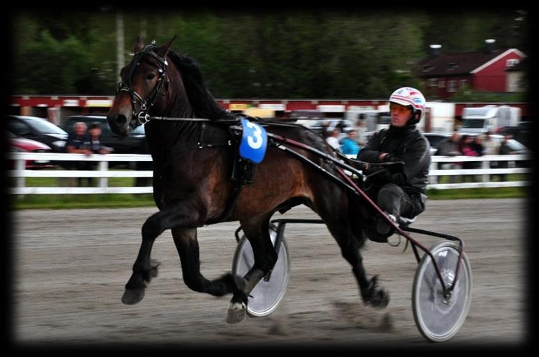 Løp 5 Hingsteholder Jan Roar Mjølnerøds løp Hvite Kaldblods. Montéløp. Skjønnsmessig handikap. Grunnlag Rekord Distanse Nr 1 Maiamy 106 500 1:29,9aM 1900 id hp 10 år e.