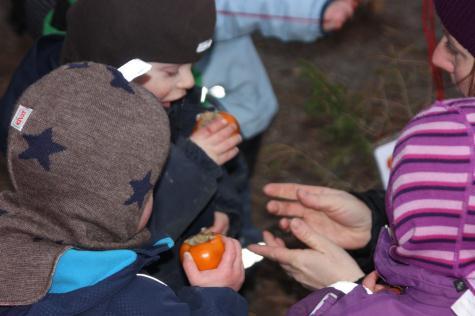 .! For barna har det vært en periode med tørt vær og med greie temperaturer. På Bringebær har vi gjennomført vinteraktivitets uke og vært på flere turer.