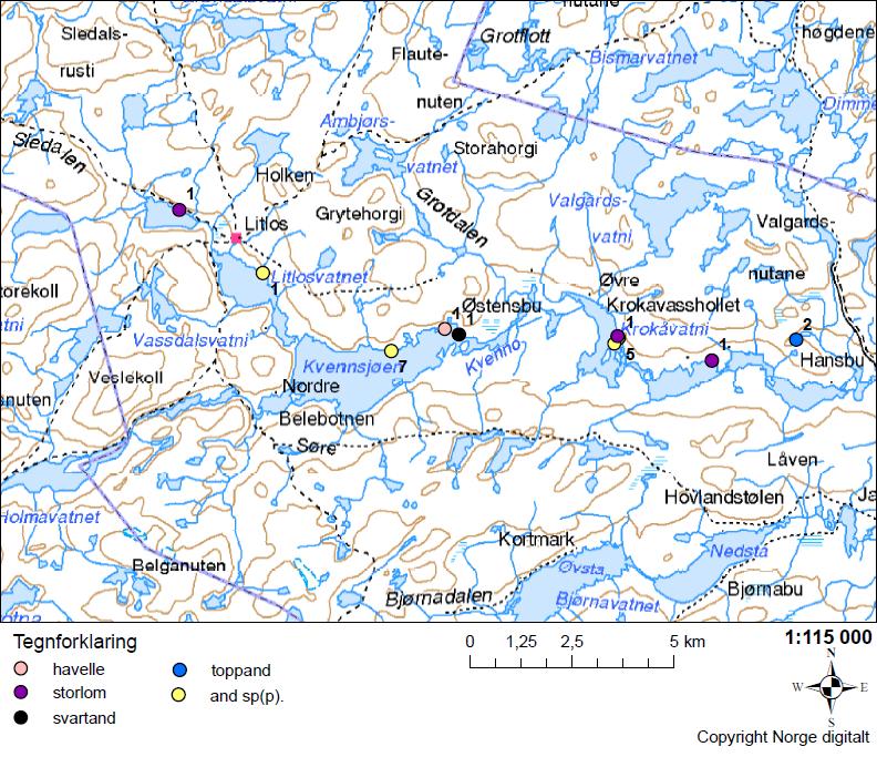 registrering. Figur 31. Observasjoner av ender og lom i øvre del av Kvennavassdraget.