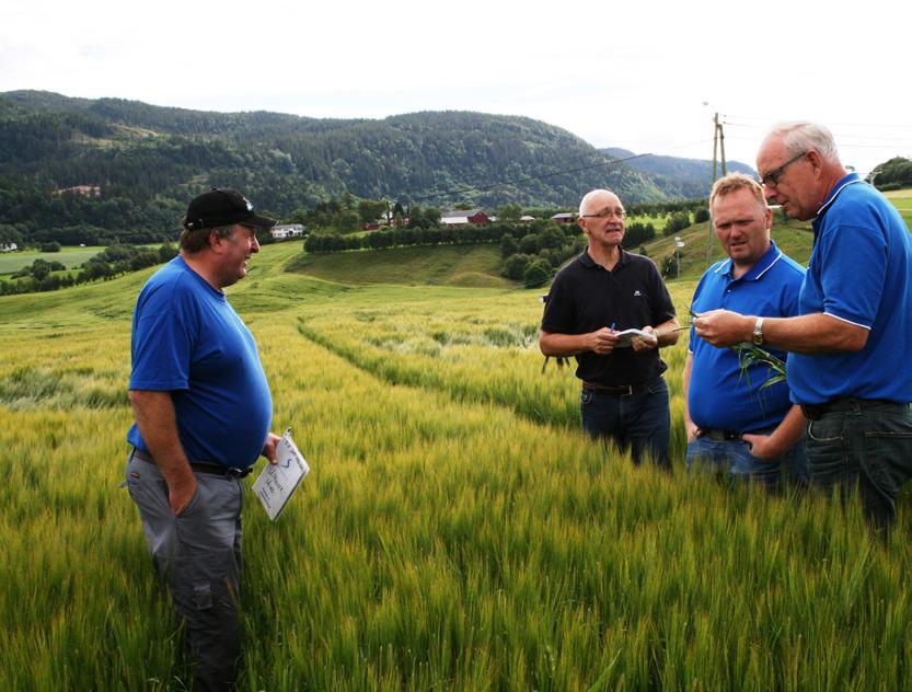 AGROPRO Agronomi for økt matproduksjon. Utfordringer og muligheter. AGROPRO nyhetsbrev nr. 3 - sept.