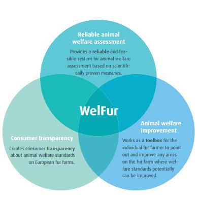 Figur 0.2 WelFur-systemet i EU 2017. (www.fureurope.eu, 2017) Programmet ble initiert i 2009 og resulterte i to rapporter som ble utgitt i 2013 og 2014.
