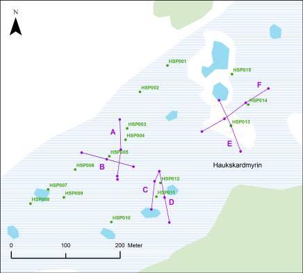 Figur 11: Palsposisjoner og plassering av analyselinjer i overvåkingsområdene Haukskardmyrin og Haugtjørnin 5.