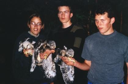 NATUR I ØSTFOLD 19(2) 2000 Østfold Ringmerkegruppes aktivitet for 1999 etter hvert veletablerte kolonien på Øra, 14 nattravn, 1 furukorsnebb, 100 kattugle, 5 spurveugle, 1 gresshoppesanger, 1
